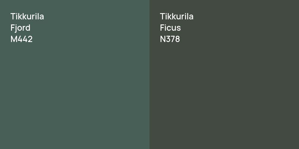 Tikkurila Fjord vs. Tikkurila Ficus