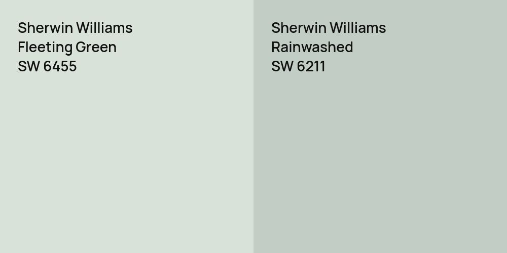 Sherwin Williams Fleeting Green vs. Sherwin Williams Rainwashed