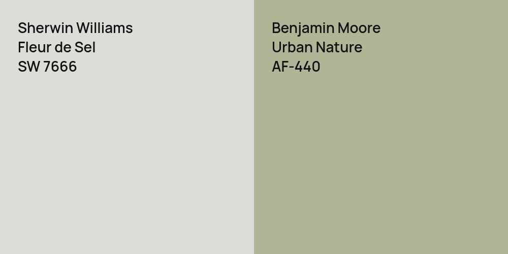 Sherwin Williams Fleur de Sel vs. Benjamin Moore Urban Nature