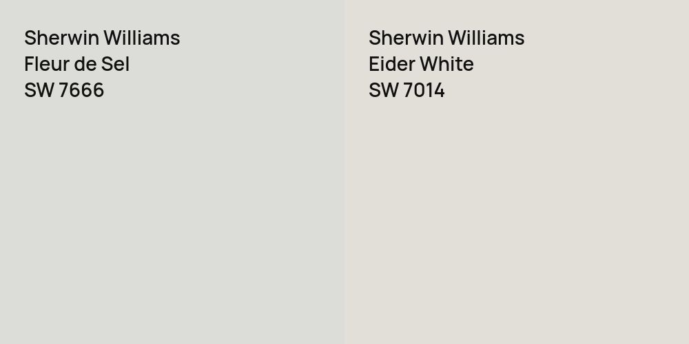 Sherwin Williams Fleur de Sel vs. Sherwin Williams Eider White