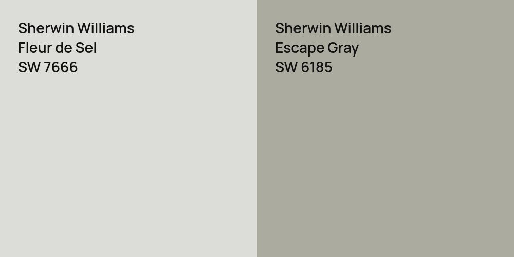 Sherwin Williams Fleur de Sel vs. Sherwin Williams Escape Gray