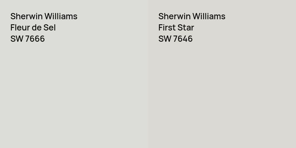 Sherwin Williams Fleur de Sel vs. Sherwin Williams First Star