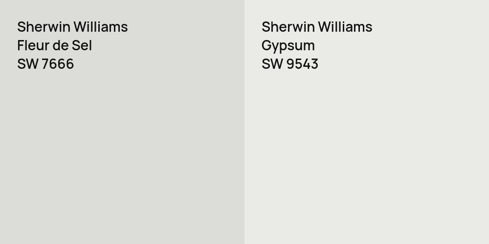 Sherwin Williams Fleur de Sel vs. Sherwin Williams Gypsum