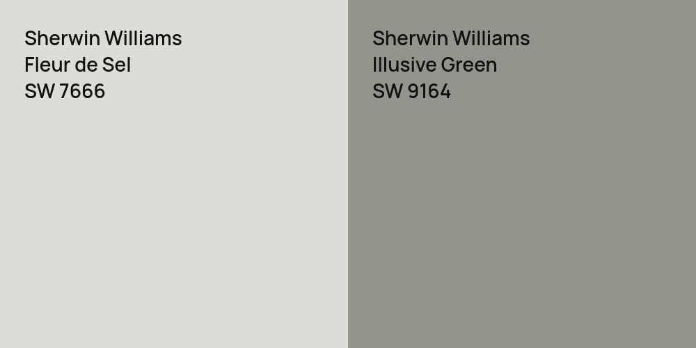 Sherwin Williams Fleur de Sel vs. Sherwin Williams Illusive Green