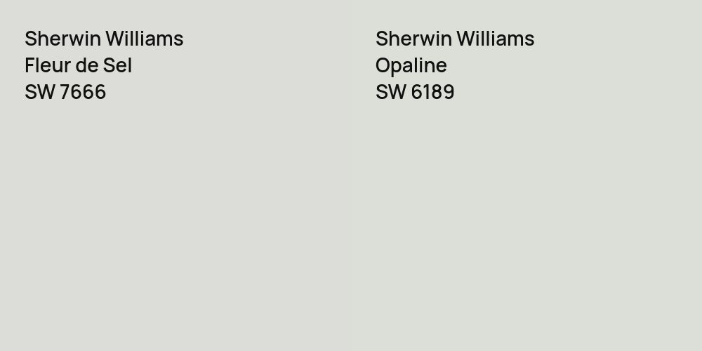 Sherwin Williams Fleur de Sel vs. Sherwin Williams Opaline