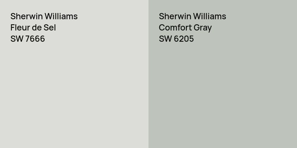 Sherwin Williams Fleur de Sel vs. Sherwin Williams Comfort Gray