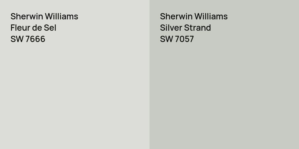 Sherwin Williams Fleur de Sel vs. Sherwin Williams Silver Strand