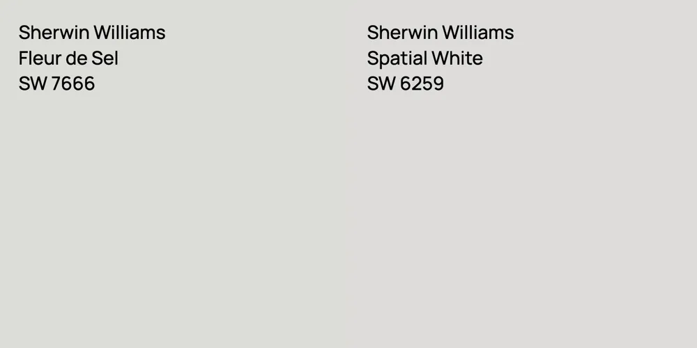 Sherwin Williams Fleur de Sel vs. Sherwin Williams Spatial White