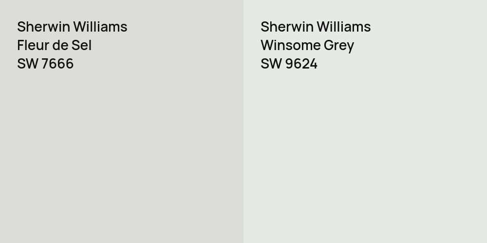 Sherwin Williams Fleur de Sel vs. Sherwin Williams Winsome Grey