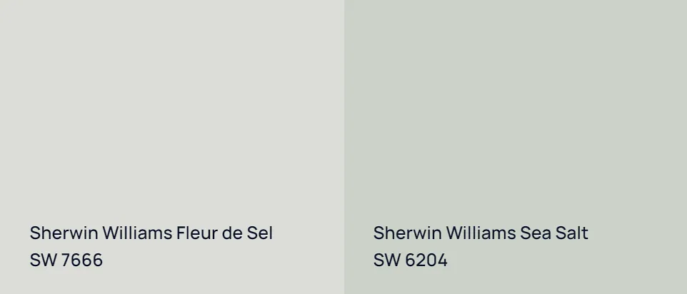 Sherwin Williams Fleur de Sel SW 7666 vs Sherwin Williams Sea Salt SW 6204