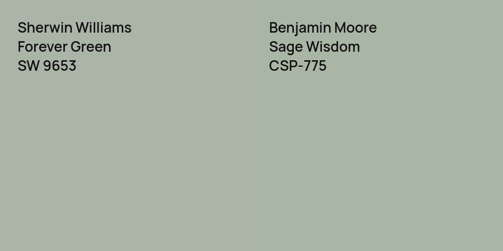 Sherwin Williams Forever Green vs. Benjamin Moore Sage Wisdom