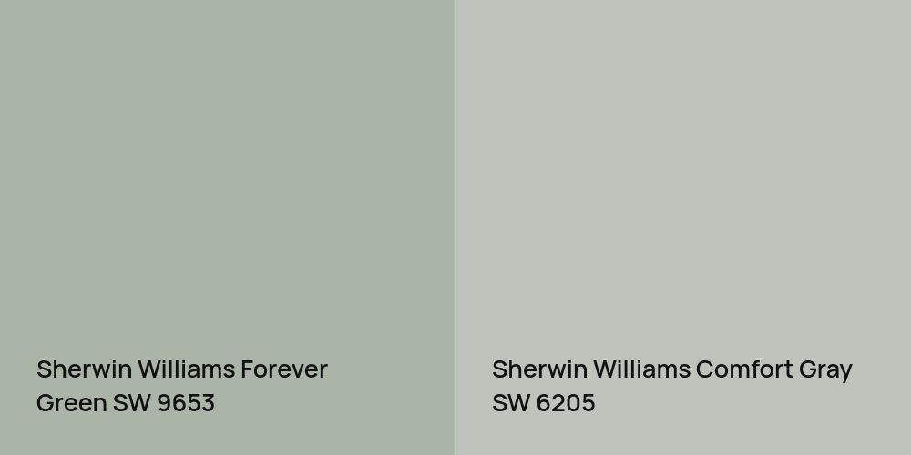 Sherwin Williams Forever Green vs. Sherwin Williams Comfort Gray