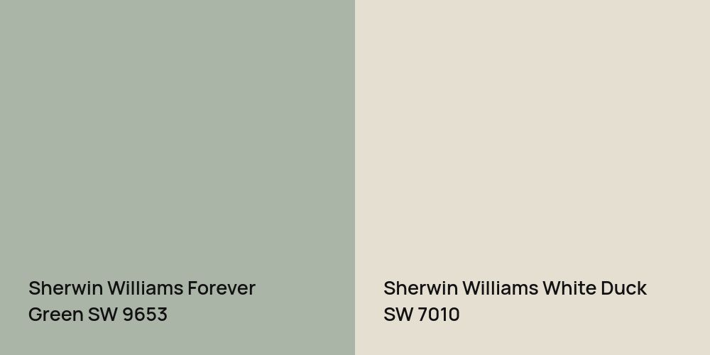 Sherwin Williams Forever Green vs. Sherwin Williams White Duck