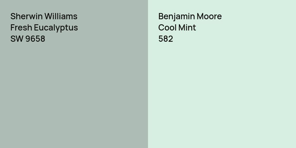 Sherwin Williams Fresh Eucalyptus vs. Benjamin Moore Cool Mint