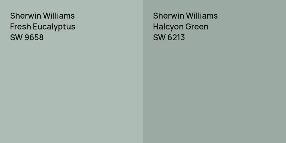 Sherwin Williams Fresh Eucalyptus vs. Sherwin Williams Halcyon Green