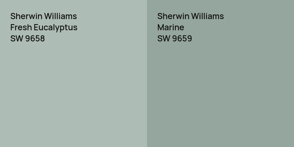 Sherwin Williams Fresh Eucalyptus vs. Sherwin Williams Marine