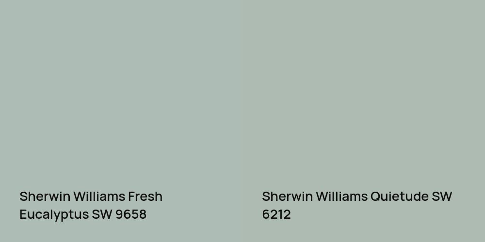 Sherwin Williams Fresh Eucalyptus vs. Sherwin Williams Quietude