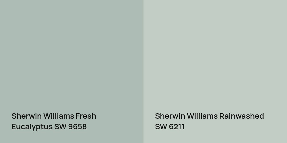 Sherwin Williams Fresh Eucalyptus vs. Sherwin Williams Rainwashed