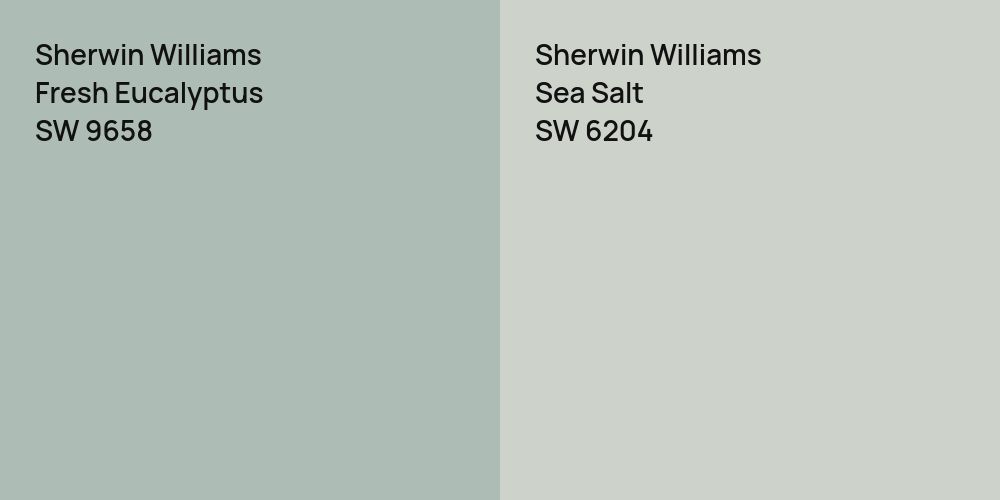 Sherwin Williams Fresh Eucalyptus vs. Sherwin Williams Sea Salt