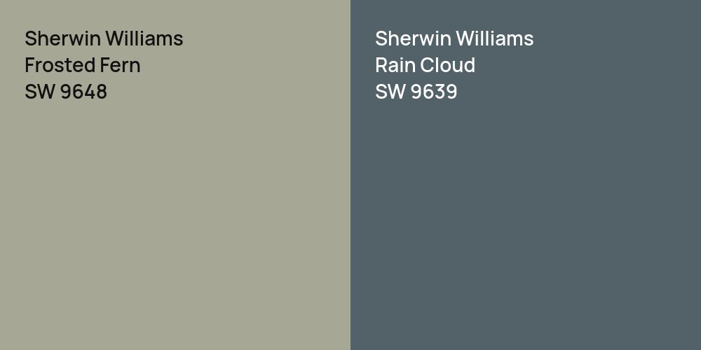 Sherwin Williams Frosted Fern vs. Sherwin Williams Rain Cloud