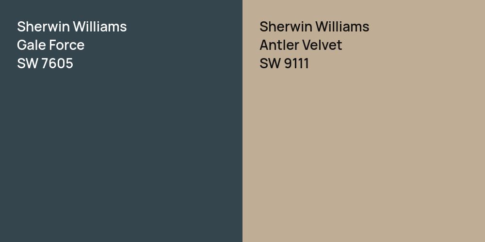 Sherwin Williams Gale Force vs. Sherwin Williams Antler Velvet