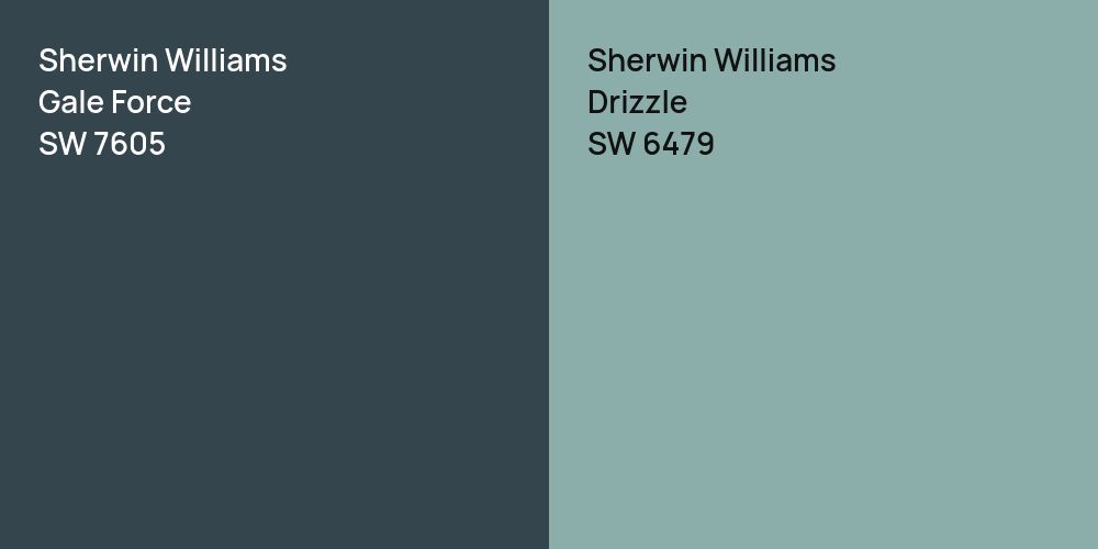 Sherwin Williams Gale Force vs. Sherwin Williams Drizzle