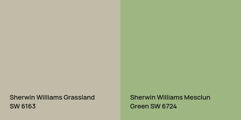 Sherwin Williams Grassland vs. Sherwin Williams Mesclun Green