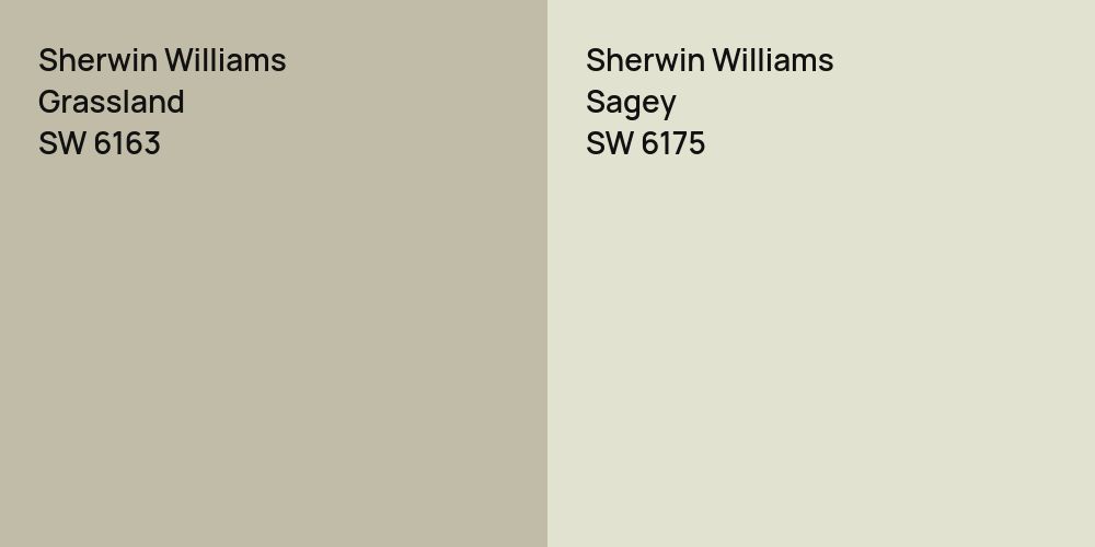 Sherwin Williams Grassland vs. Sherwin Williams Sagey