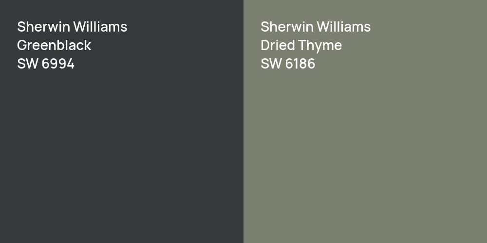 Sherwin Williams Greenblack vs. Sherwin Williams Dried Thyme