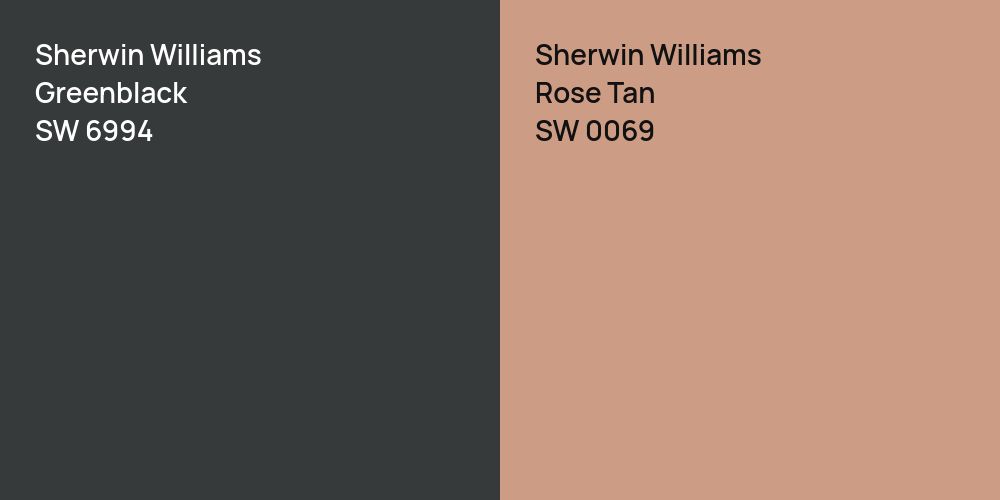 Sherwin Williams Greenblack vs. Sherwin Williams Rose Tan