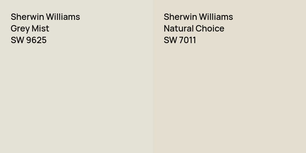 Sherwin Williams Grey Mist vs. Sherwin Williams Natural Choice