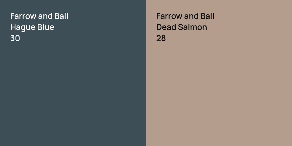 Farrow and Ball Hague Blue vs. Farrow and Ball Dead Salmon