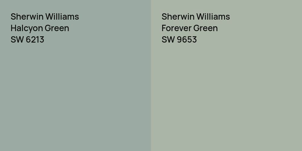 Sherwin Williams Halcyon Green vs. Sherwin Williams Forever Green