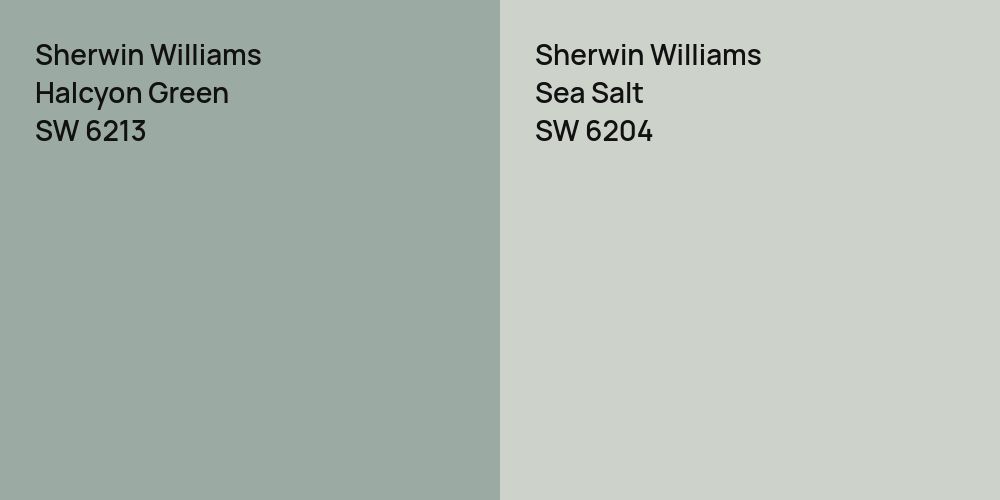 Sherwin Williams Halcyon Green vs. Sherwin Williams Sea Salt