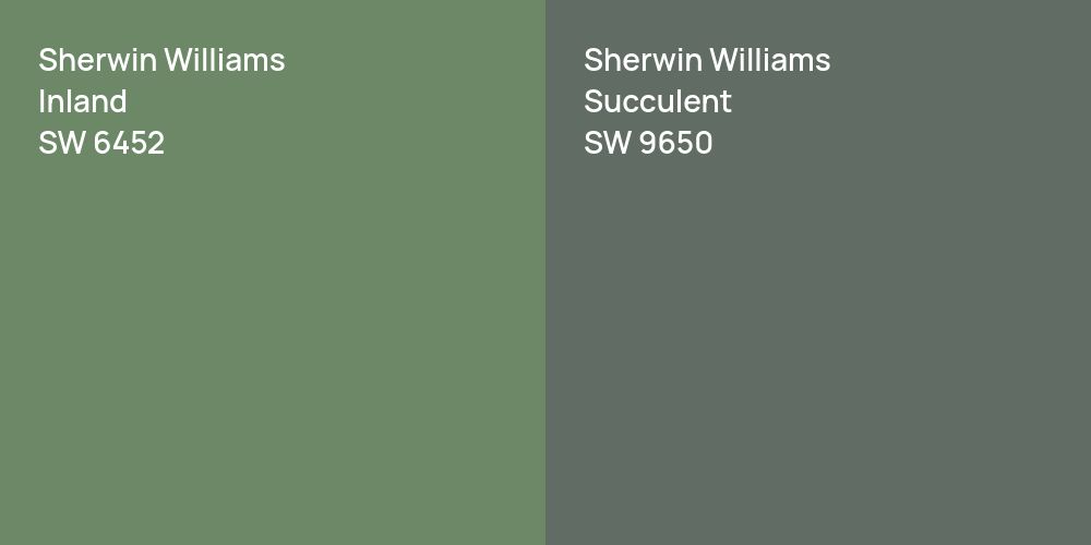 Sherwin Williams Inland vs. Sherwin Williams Succulent