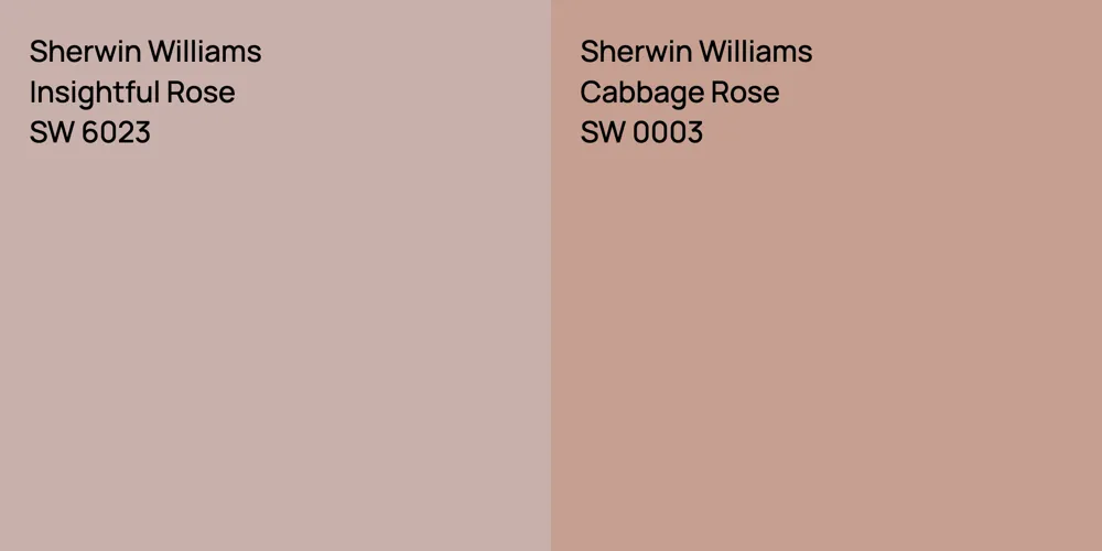 Sherwin Williams Insightful Rose vs. Sherwin Williams Cabbage Rose