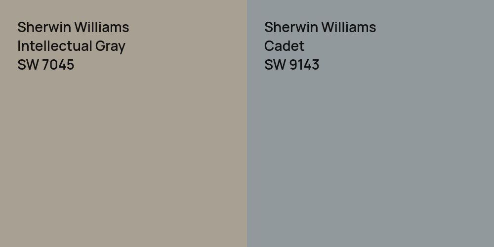 Sherwin Williams Intellectual Gray vs. Sherwin Williams Cadet