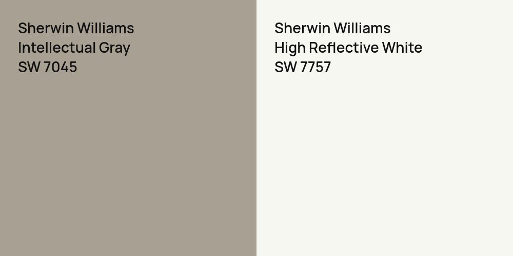 Sherwin Williams Intellectual Gray vs. Sherwin Williams High Reflective White