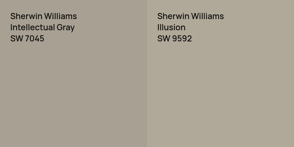 Sherwin Williams Intellectual Gray vs. Sherwin Williams Illusion