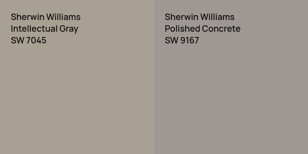 Sherwin Williams Intellectual Gray vs. Sherwin Williams Polished Concrete