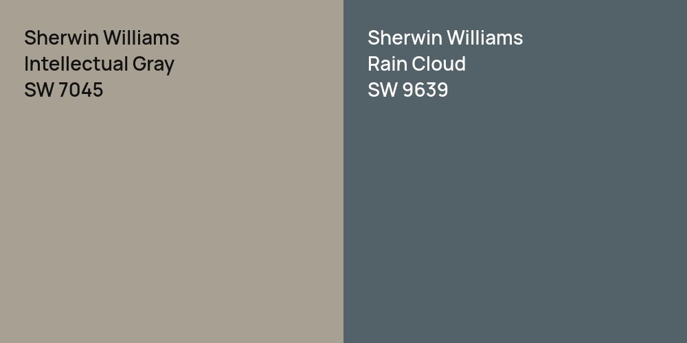 Sherwin Williams Intellectual Gray vs. Sherwin Williams Rain Cloud