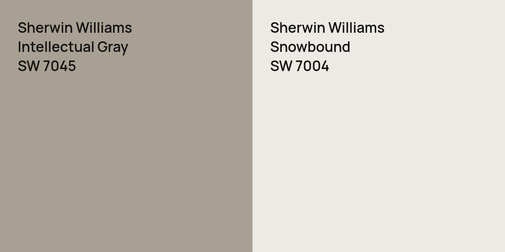 Sherwin Williams Intellectual Gray vs. Sherwin Williams Snowbound