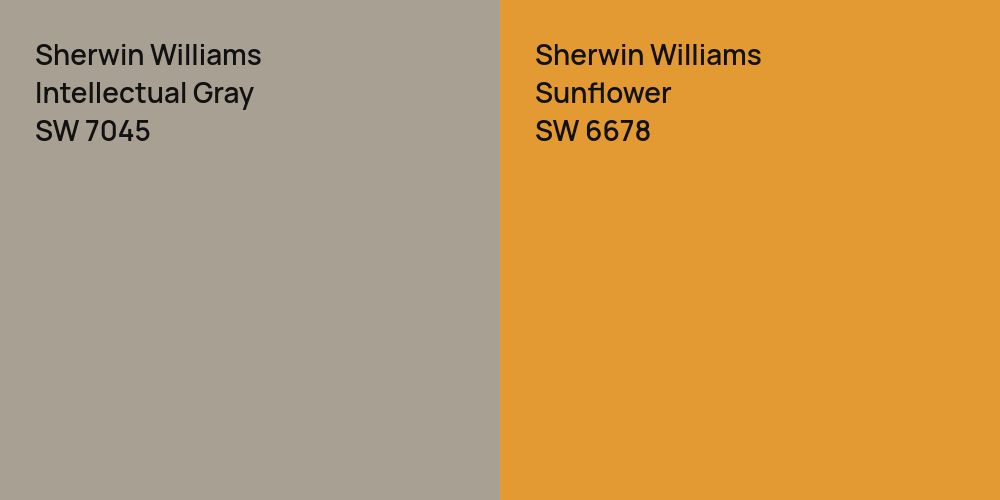 Sherwin Williams Intellectual Gray vs. Sherwin Williams Sunflower