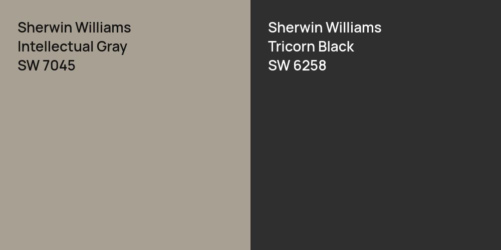 Sherwin Williams Intellectual Gray vs. Sherwin Williams Tricorn Black