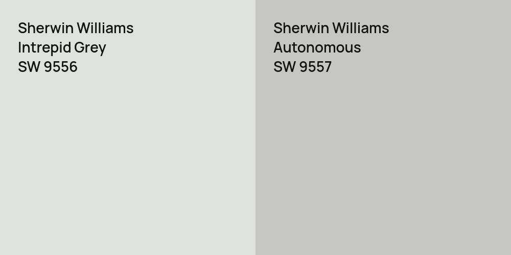 Sherwin Williams Intrepid Grey vs. Sherwin Williams Autonomous