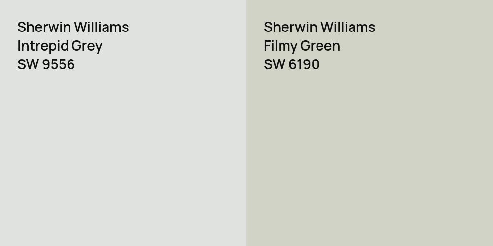 Sherwin Williams Intrepid Grey vs. Sherwin Williams Filmy Green