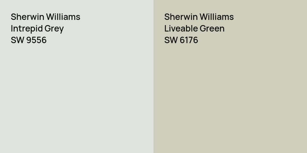 Sherwin Williams Intrepid Grey vs. Sherwin Williams Liveable Green