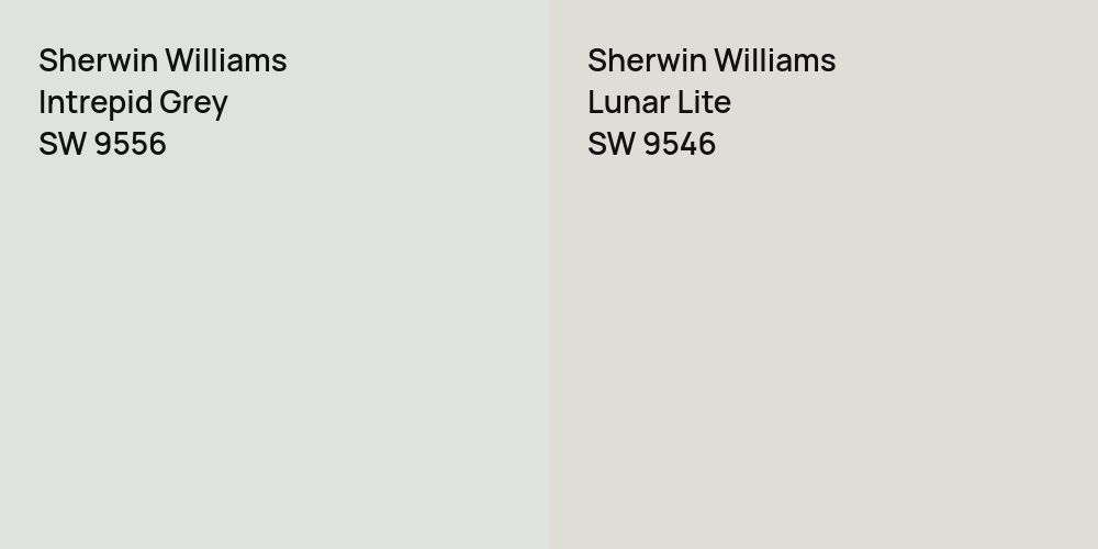 Sherwin Williams Intrepid Grey vs. Sherwin Williams Lunar Lite