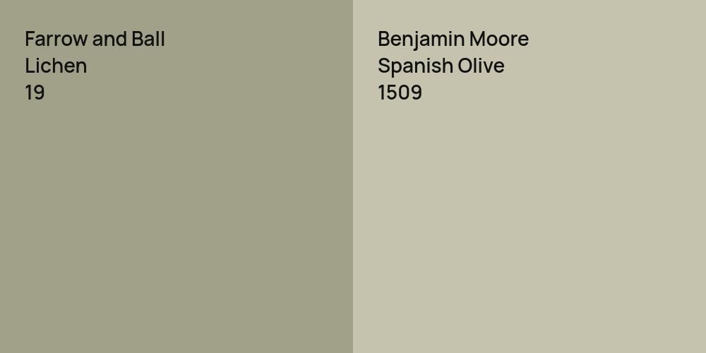 Farrow and Ball Lichen vs. Benjamin Moore Spanish Olive