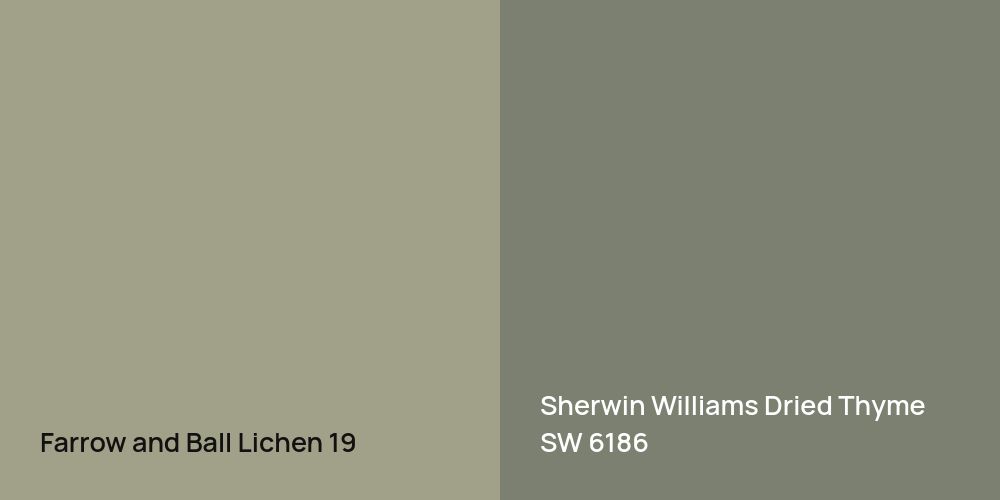 Farrow and Ball Lichen vs. Sherwin Williams Dried Thyme